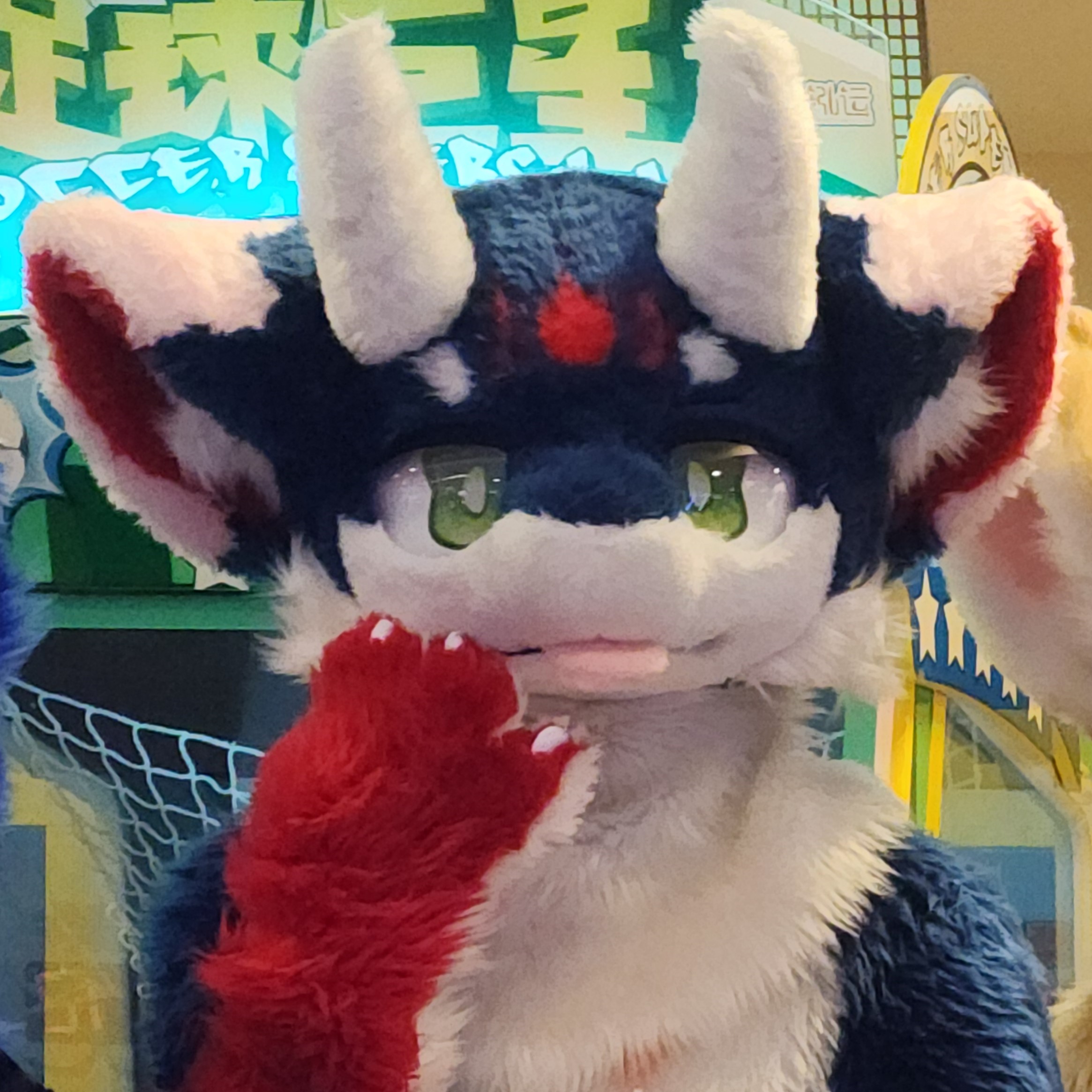 Kushamo